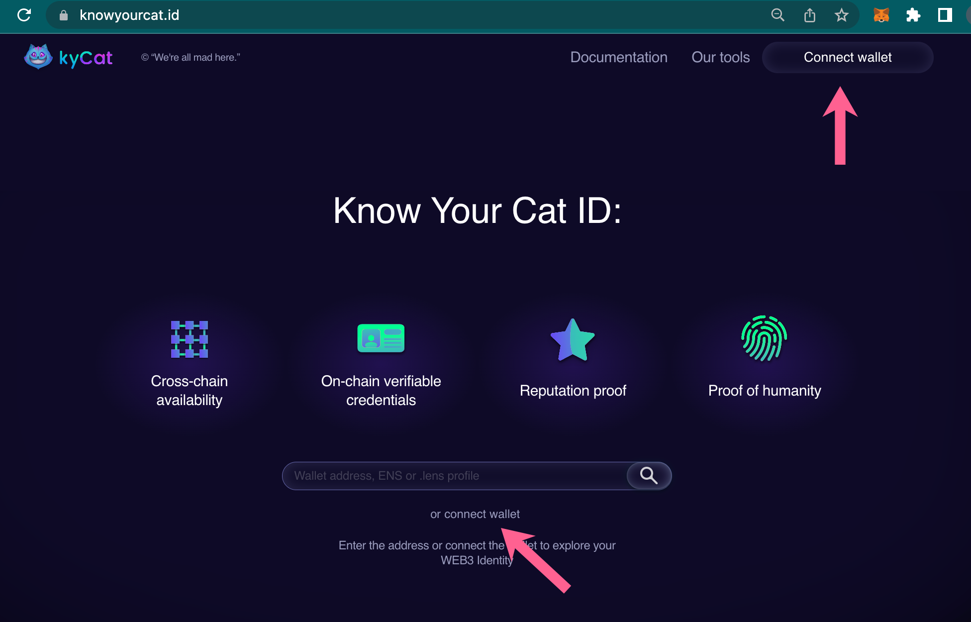 Connect to Know Your Cat for zkBob