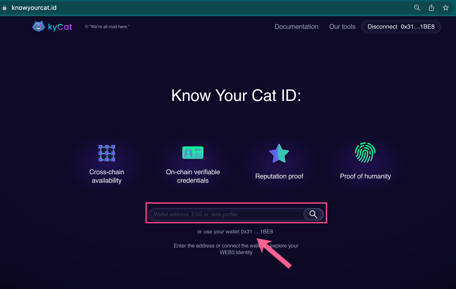 Enter web3 wallet address for Know Your Cat with zkBob