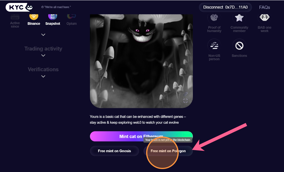 Mint Know your Cat on Polygon for zkBob